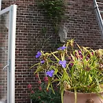 Bed&Breakfast Leonie